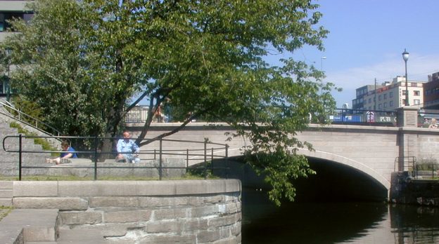 Trær i byer vokser raskere