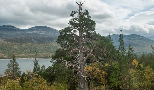 15. mars 2018:  Årsmøte i Treets Venner