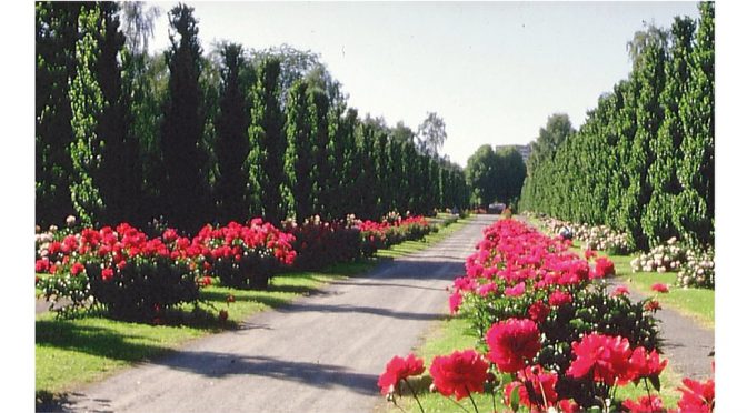 7. juni 2018: Kveldsvandring på Østre Gravlund