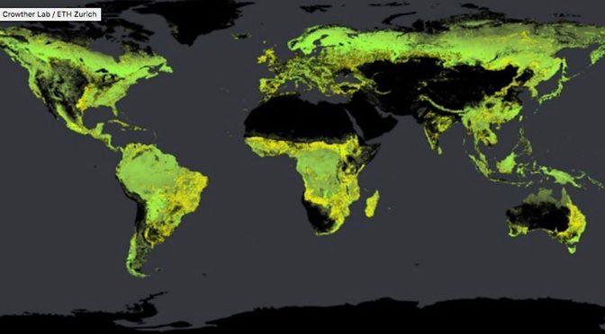 Treplanting i stor skala kan ta bort ti års CO₂-utslipp