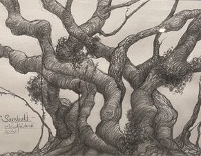 Juletilbud på tegninger av trær