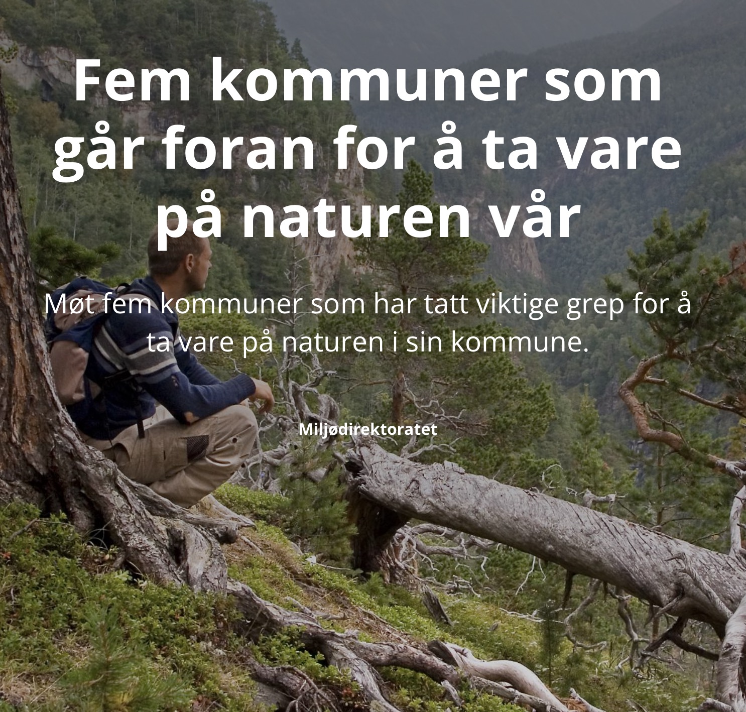 Miljødirektoratet: Fem kommuner som går foran for å ta vare på naturen vår